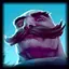 Champion Braum icon