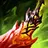 Item Death's Dance icon