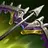 Item Mortal Reminder icon